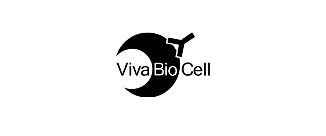 investment_0010